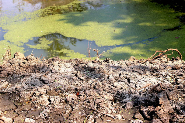 засуха, глобальное потепление, изоляция почвы и низкий уровень воды в оросительном пруду
 - Фото, изображение