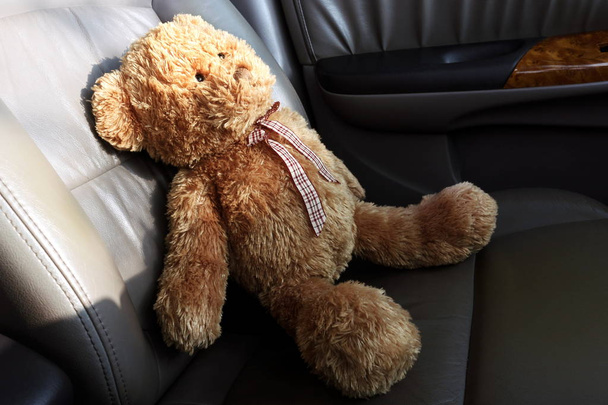 Teddy urso solitário sentir no meu carro
 - Foto, Imagem