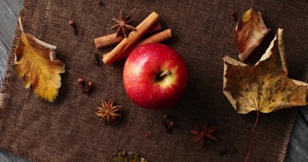 Kypsä omena kaatuneiden lehtien ja mausteiden kanssa
 - Materiaali, video