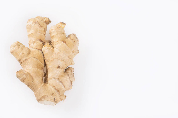 Fresh ginger root - Zingiber officinale - 写真・画像