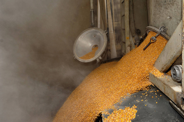 крупним планом промисловість пшениці
 - Фото, зображення