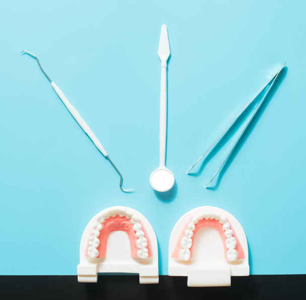 Dental model in oral health care concept. - Photo, Image