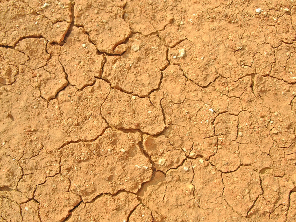 ξηρό χώμα - Φωτογραφία, εικόνα