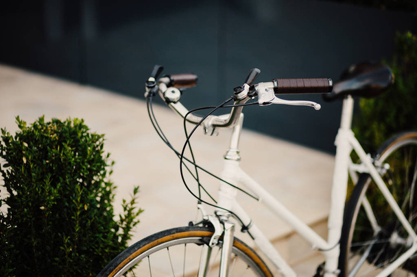Bicycle handlebar close up, Female retro bicycle on the park.  - Zdjęcie, obraz