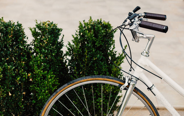 Bicycle handlebar close up, Female retro bicycle on the park.  - Fotó, kép