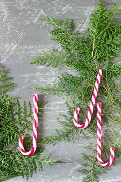 Baston şekerler ve Mazı (bitki) dallarında gri beton arka plan, Noel kavramı ile metin için yerleştirin. Seçici odak. - Fotoğraf, Görsel