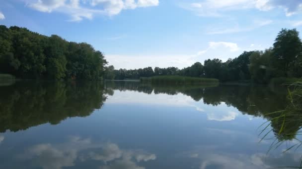 Vista del río con cañas a lo largo de las orillas de los cuales hay muchos árboles. Video de TimeLapse. El cielo se refleja en el agua
. - Imágenes, Vídeo