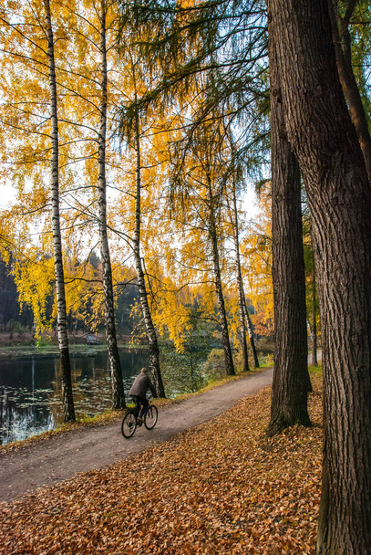 Man on a bicycle on the autumn path along the pond - Foto, Imagen