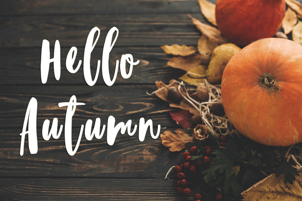 こんにちは秋のテキスト。こんにちは秋のサインオン、カボチャ、秋野菜のカラフルな葉、どんぐり、木の実、素朴な木製のテーブルの上の果実。秋の季節のグリーティング カード。大気のイメージ - 写真・画像