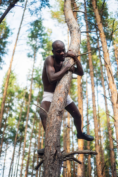 Male black with no shirt climbs a tree - Fotó, kép