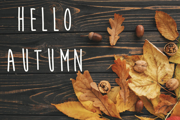 Hallo Herbsttext. Hallo Herbst Zeichen auf leuchtend bunten Herbstblättern mit Eicheln und Nüssen auf rustikalem Holztisch, flach gelegt. Herbstbild. Grußkarten-Attrappe. atmosphärisches Bild - Foto, Bild