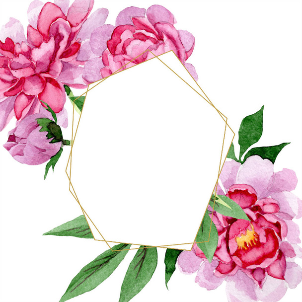 Watercolor pink peony flower. Floral botanical flower. Frame border ornament square. Aquarelle wildflower for background, texture, wrapper pattern, frame or border. - Foto, Imagen