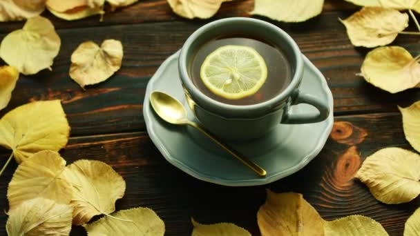 kopje warme thee met citroen - Video