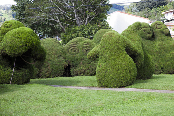 Le parc Francisco Alvardo avec son célèbre topiaire à Zarcero, Costa Rica
 - Photo, image