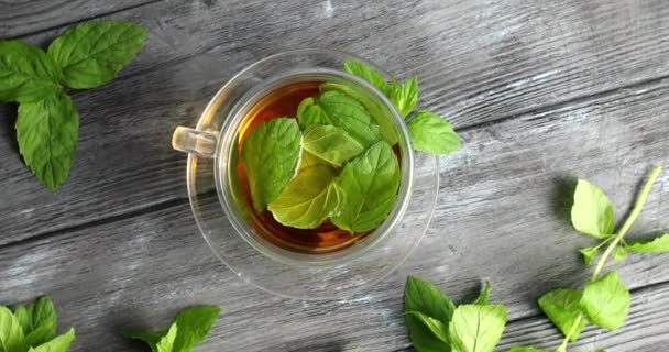 Glass of herbal tea with mint - Footage, Video