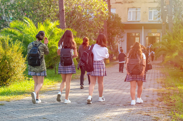 Group of kids going to school together, back to school. - Foto, Imagem