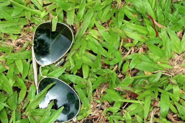 óculos de sol na grama verde - Foto, Imagem