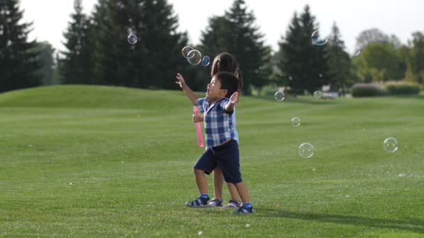 Excited asian siblings having fun with soap bubbles - Footage, Video