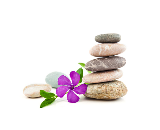 zrównoważony kamienie i delikatny kwiat - Zdjęcie, obraz