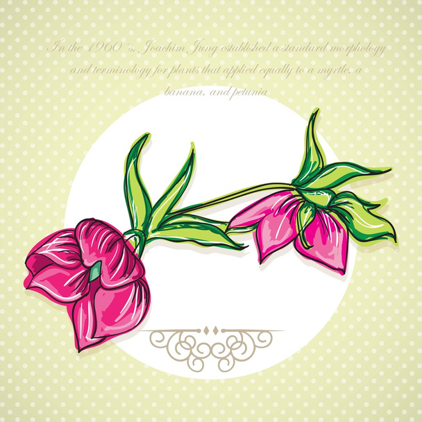 Flowers Icons - Vector, Image