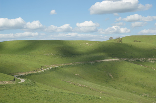 vuil weg slingert door de groene heuvels op bewolkte dag - Foto, afbeelding