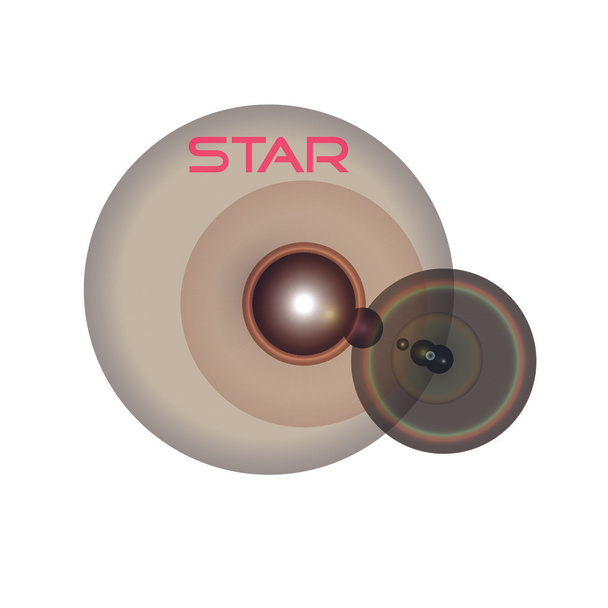 STAR - Vector, Image