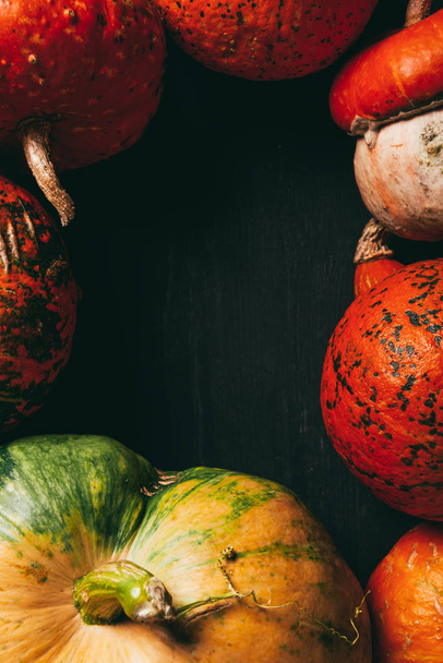 top view of frame made of colorful pumpkins on dark background - Photo, image