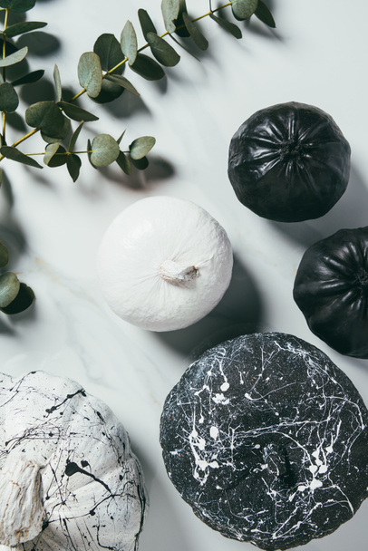 top view of black and white pumpkins with paint splatters and eucalyptus branches, halloween decoration - Foto, imagen