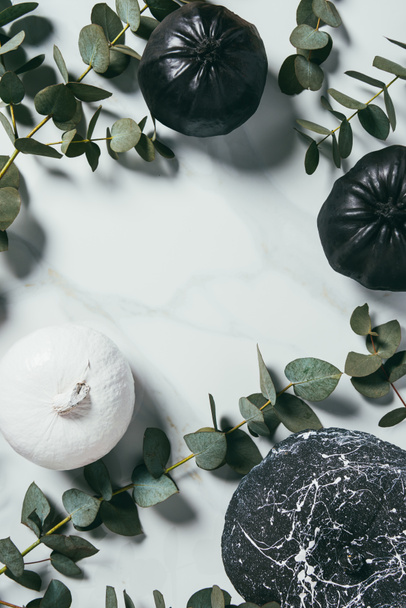 Top view of black and white pumpkins arranged with eucalyptus leaves, halloween background with  copy space - Φωτογραφία, εικόνα