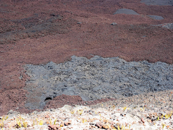 Uno de los cráteres del Chico, Isla Isabela, Galápagos, Ecuador
 - Foto, Imagen