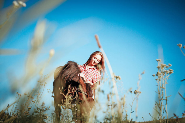 mooie vrouw in een veld met een paard - Foto, afbeelding