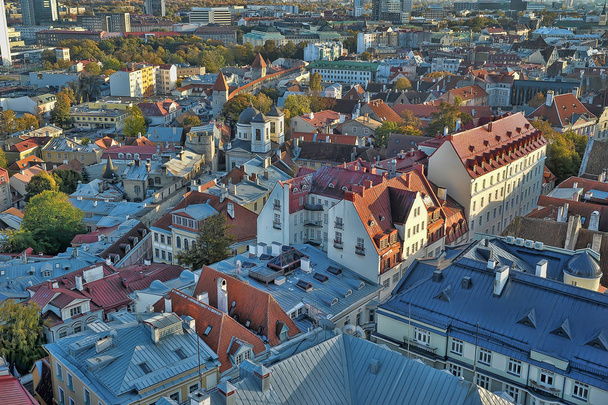 Estland, Tallinn, 11.10.2014 Blick über die Dächer der Stadt von der Aussichtsplattform - Foto, Bild
