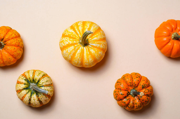 Different Colorful Pumpkins, Seasonal Autumn Thanksgiving and Halloween Background - Foto, Imagen