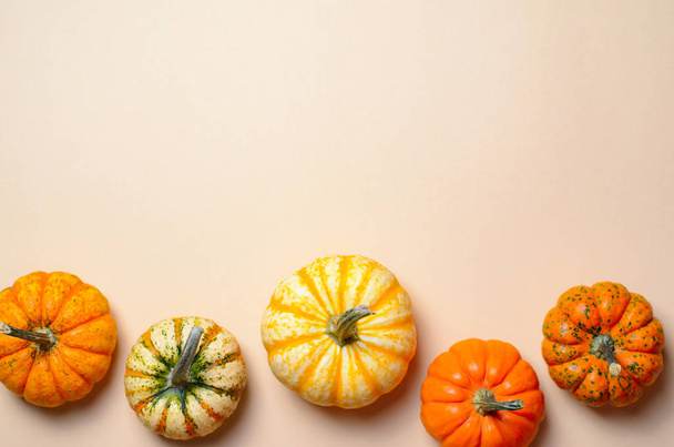 Different Colorful Pumpkins, Seasonal Autumn Thanksgiving and Halloween Background - Fotoğraf, Görsel