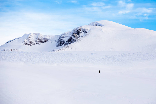 Jeden snowboardista snowboardy na spodní části zasněžené hory v zimě v Uludag,Bursa,Turkey.Copy prostoru pro text. Malebné a nádherné zimní scény s modré tónování. - Fotografie, Obrázek
