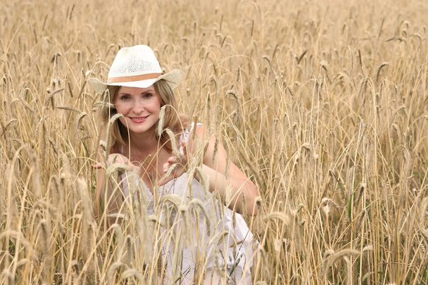 Wheat field - Photo, Image