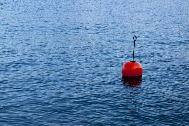 Красный буй на спокойном озере, изолированном от голубой заросли
 - Фото, изображение