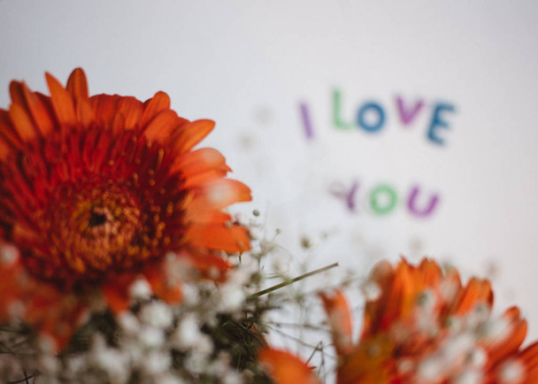 colorful letters i love you and gerbera bouquet - love background - Zdjęcie, obraz