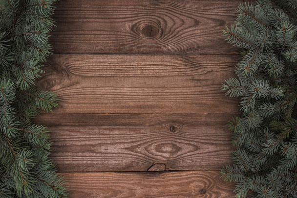 top view of beautiful evergreen coniferous branches on wooden background   - Photo, image