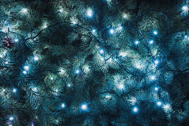 hermosas ramitas de abeto con guirnalda iluminada, fondo de Navidad
 - Foto, Imagen