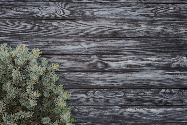 top view of beautiful evergreen fir twigs on wooden background    - Фото, изображение