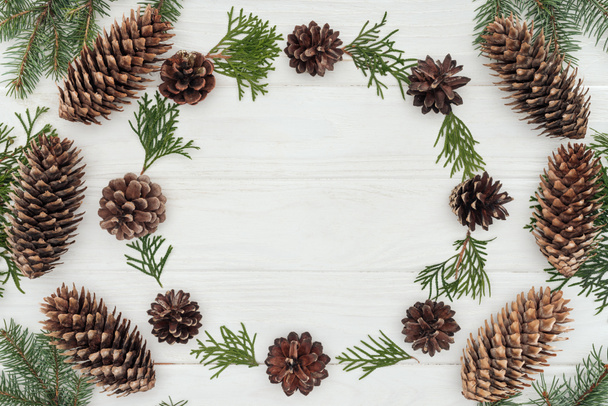 top view of evergreen coniferous twigs and pine cones on white wooden background  - Foto, immagini