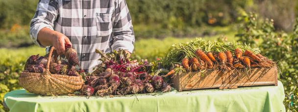Local farmer market with produce on table, woman selling vegetables from organic farming - Fotoğraf, Görsel