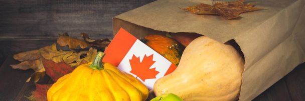 Feliz Día de Acción de Gracias en Canadá. Verduras, calabazas, calabazas, manzanas, hojas de arce y roble, bellotas sobre fondo de madera. Cosecha y hojas amarillas de otoño sobre una mesa de madera
. - Foto, imagen