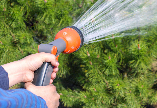 lidská ruka drží vodu sprinkler a zalévání zelená zahrada  - Fotografie, Obrázek