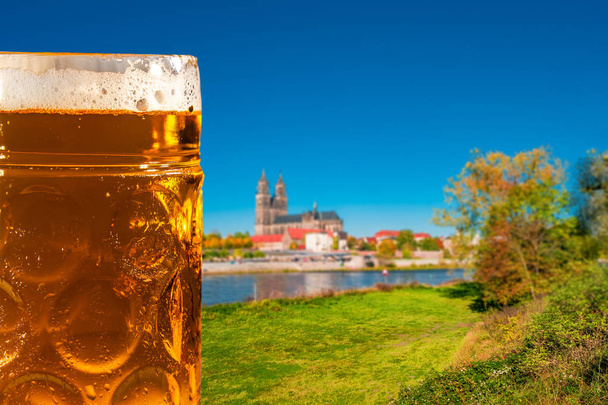 Otoño de Oro y cerveza dorada frente a la catedral en Magdeburgo, Alemania, primer plano
 - Foto, imagen