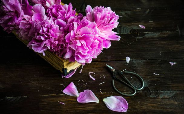 Summer floral concept with bright pink peony flowers on rustic background with copy space - Fotografie, Obrázek