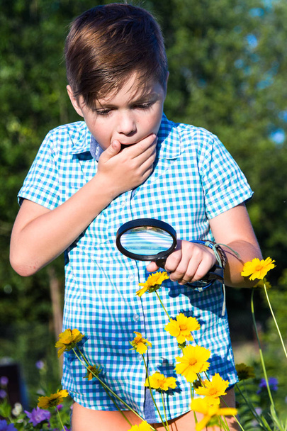Shocked boy with magnifying glass in summer - Foto, Imagen