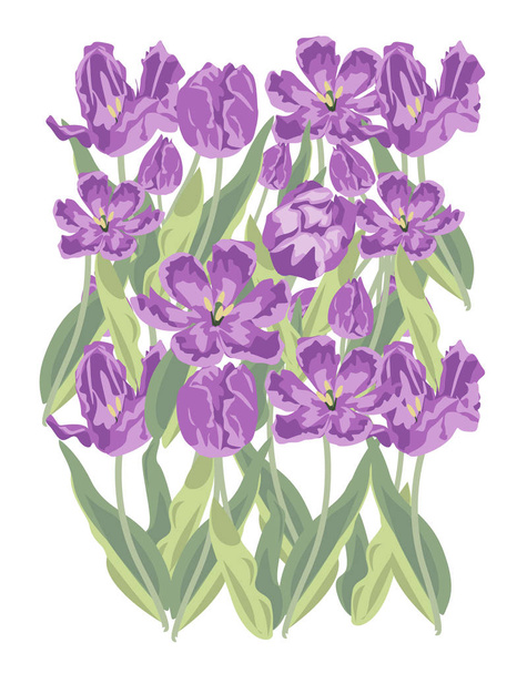 μωβ σχέδιο εικονογράφηση διάνυσμα μοτίβο λουλουδιών τουλίπας - Διάνυσμα, εικόνα