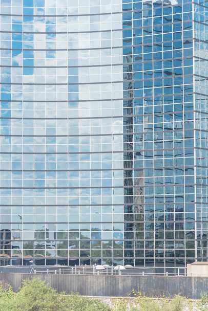 典型的なガラスのツリー トップ背景、雲青空とファサードの建物はモダンなミラー ガラス壁に反映 - 写真・画像